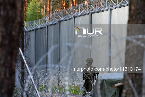 A soldier is keeping watch and observing the area by the border wall in a forest in Podlasie, Poland, on June 6, 2024. 