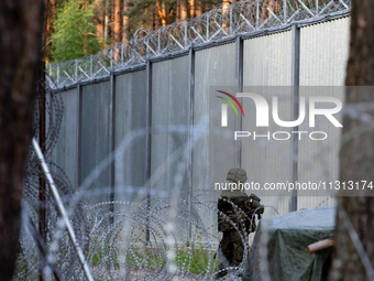 A soldier is keeping watch and observing the area by the border wall in a forest in Podlasie, Poland, on June 6, 2024. (