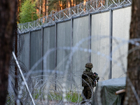 A soldier is keeping watch and observing the area by the border wall in a forest in Podlasie, Poland, on June 6, 2024. (