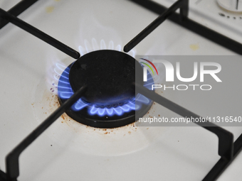 A natural gas stove is operating in Ankara, Turkey, on June 9, 2024. (