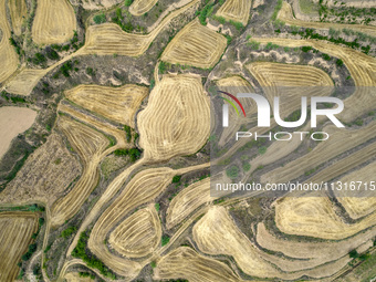 An aerial photo is showing the landscape of Loess Plateau terraces after the wheat harvest in Ruicheng County, Yuncheng City, North China's...