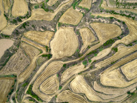 An aerial photo is showing the landscape of Loess Plateau terraces after the wheat harvest in Ruicheng County, Yuncheng City, North China's...