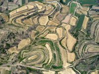 An aerial photo is showing the landscape of Loess Plateau terraces after the wheat harvest in Ruicheng County, Yuncheng City, North China's...