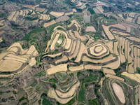 An aerial photo is showing the landscape of Loess Plateau terraces after the wheat harvest in Ruicheng County, Yuncheng City, North China's...