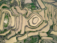 An aerial photo is showing the landscape of Loess Plateau terraces after the wheat harvest in Ruicheng County, Yuncheng City, North China's...