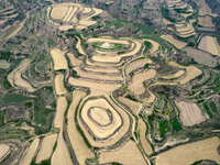 An aerial photo is showing the landscape of Loess Plateau terraces after the wheat harvest in Ruicheng County, Yuncheng City, North China's...