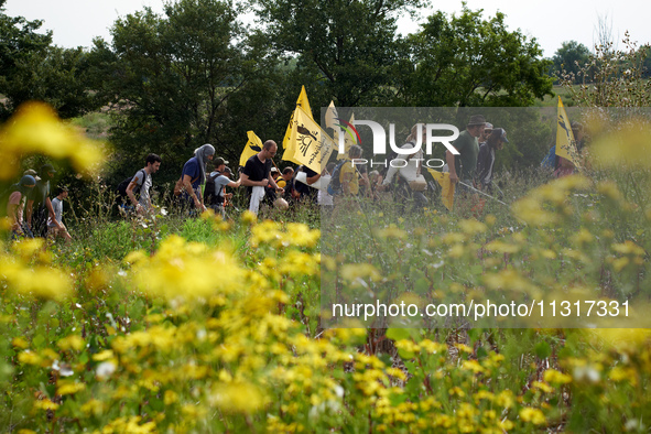 Protesters and members of the farmers' union Confederation Paysanne are walking in a field that will be destroyed by the building of the A69...