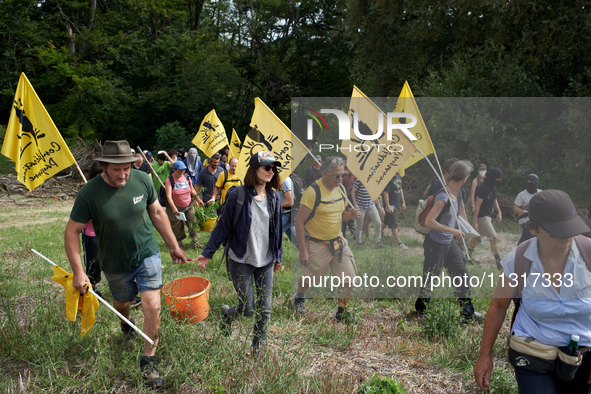 Protesters and members of the farmers' union, Confederation Paysanne, are walking in a field that will be destroyed by the building of the A...