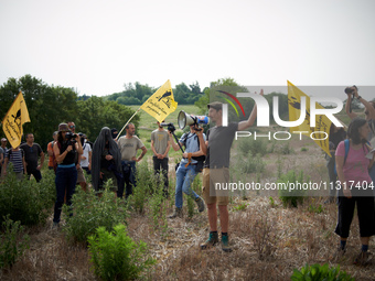 A member of the farmers' union Confederation Paysanne is making a speech in a field that will be destroyed by the A69 highway. Nearly 5,000...