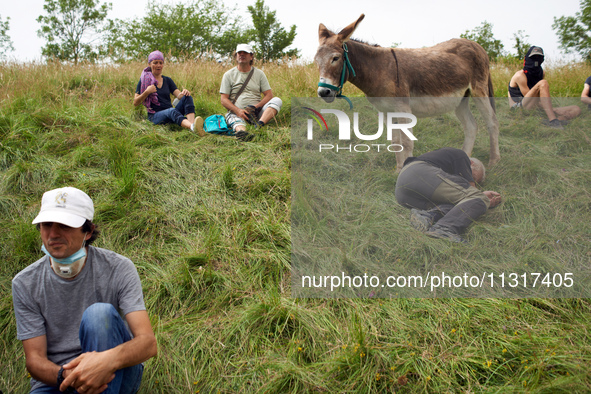 A protester with his donkey is taking a rest during the protest. Nearly 5,000 people are participating in a weekend of action called 'Roue L...