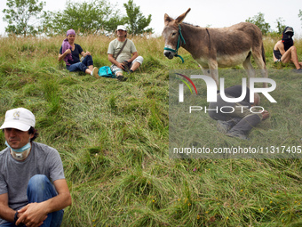 A protester with his donkey is taking a rest during the protest. Nearly 5,000 people are participating in a weekend of action called 'Roue L...