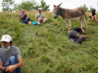 A protester with his donkey is taking a rest during the protest. Nearly 5,000 people are participating in a weekend of action called 'Roue L...