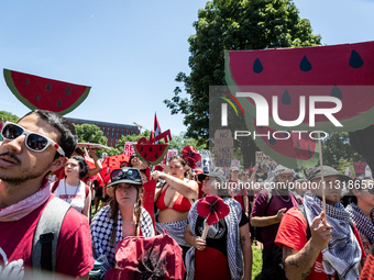 Thousands of pro-Palestinian demonstrators encircle the White House, forming a ‘red line’ to call for an end to the siege of Gaza and Americ...