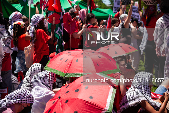 People take shelter from the sun under watermelon umbrellas during a pro-Palestinian protest at the White House, Washington, DC, June 8, 202...