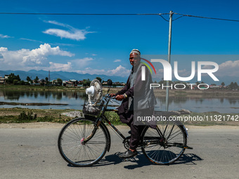 An elderly man is carrying a fan on his bicycle on a hot summer day in Sopore, Baramulla, Jammu and Kashmir, India, on June 11, 2024. (