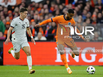 Bjarki Bjarkason Left Winger of Iceland and Venezia FC  and Cody Gakpo Left Winger of Netherland and Liverpool FC compete for the ball durin...