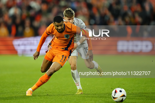 Cody Gakpo Left Winger of Netherland and Liverpool FC and Bjarki Bjarkason Left Winger of Iceland and Venezia FC compete for the ball during...