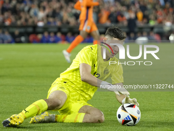 Hakon Rafn Valdimarsson Goalkeeper of Iceland and Brentford FC during the international friendly match between Netherlands and Iceland at De...