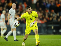 Hakon Rafn Valdimarsson Goalkeeper of Iceland and Brentford FC during the international friendly match between Netherlands and Iceland at De...