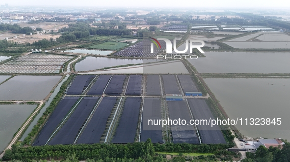 Aquaculturists are installing sunshade nets at the mouth of a pond to prevent summer heat in Huai'an city, Jiangsu province, China, on June...