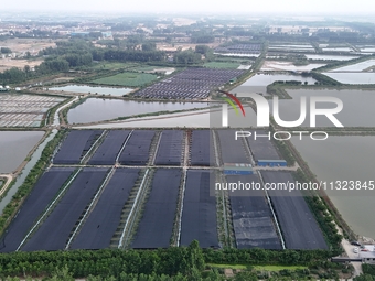 Aquaculturists are installing sunshade nets at the mouth of a pond to prevent summer heat in Huai'an city, Jiangsu province, China, on June...