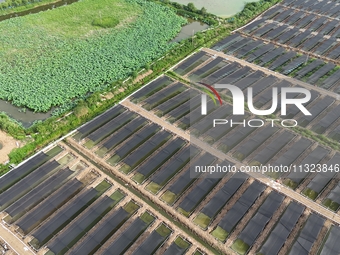 Aquaculturists are installing sunshade nets at the mouth of a pond to prevent summer heat in Huai'an city, Jiangsu province, China, on June...