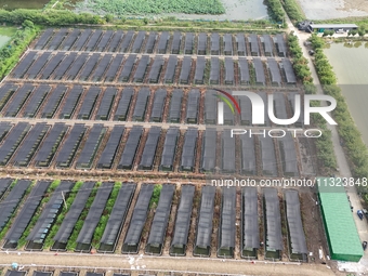 Aquaculturists are installing sunshade nets at the mouth of a pond to prevent summer heat in Huai'an city, Jiangsu province, China, on June...