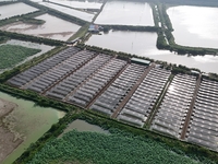 Aquaculturists are installing sunshade nets at the mouth of a pond to prevent summer heat in Huai'an city, Jiangsu province, China, on June...