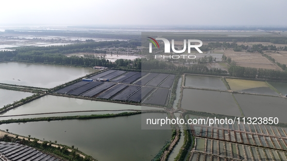 Aquaculturists are installing sunshade nets at the mouth of a pond to prevent summer heat in Huai'an city, Jiangsu province, China, on June...