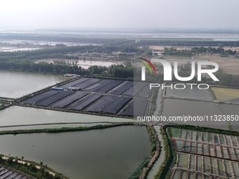 Aquaculturists are installing sunshade nets at the mouth of a pond to prevent summer heat in Huai'an city, Jiangsu province, China, on June...