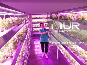 A worker is checking the growth of lettuce on a breeding rack at the farm's artificial light source ready-to-eat restaurant in Chongqing, Ch...