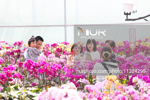 Tourists are playing and taking photos among Taiwan Phalaenopsis orchids in Chongqing, China, on May 2, 2021. 