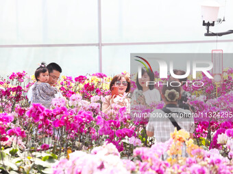 Tourists are playing and taking photos among Taiwan Phalaenopsis orchids in Chongqing, China, on May 2, 2021. (