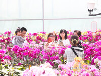 Tourists are playing and taking photos among Taiwan Phalaenopsis orchids in Chongqing, China, on May 2, 2021. (