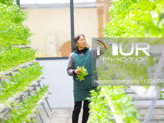 A worker is guarding vegetables on a breeding rack in Chongqing, China, on March 30, 2023. (