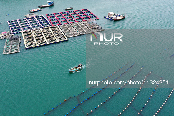 Workers are working in a breeding area at a marine ranch in Lianjiang County, Fuzhou, in Fuzhou, China, on June 11, 2024. 