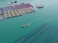 Workers are working in a breeding area at a marine ranch in Lianjiang County, Fuzhou, in Fuzhou, China, on June 11, 2024. (