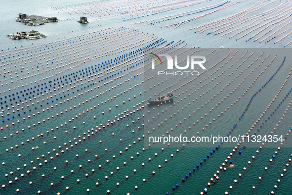 Workers are working in a breeding area at a marine ranch in Lianjiang County, Fuzhou, in Fuzhou, China, on June 11, 2024. 