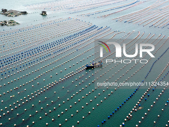 Workers are working in a breeding area at a marine ranch in Lianjiang County, Fuzhou, in Fuzhou, China, on June 11, 2024. (