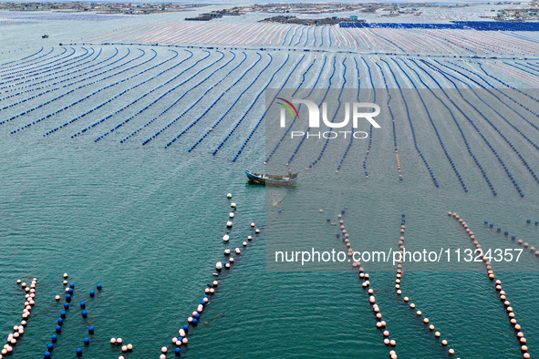 Workers are working in a breeding area at a marine ranch in Lianjiang County, Fuzhou, in Fuzhou, China, on June 11, 2024. 