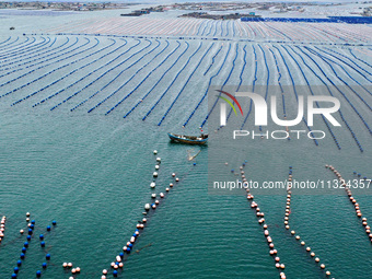 Workers are working in a breeding area at a marine ranch in Lianjiang County, Fuzhou, in Fuzhou, China, on June 11, 2024. (