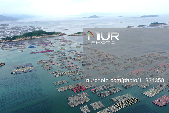 Workers are working in a breeding area at a marine ranch in Lianjiang County, Fuzhou, in Fuzhou, China, on June 11, 2024. 