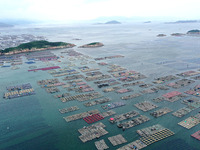 Workers are working in a breeding area at a marine ranch in Lianjiang County, Fuzhou, in Fuzhou, China, on June 11, 2024. (