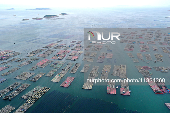 Workers are working in a breeding area at a marine ranch in Lianjiang County, Fuzhou, in Fuzhou, China, on June 11, 2024. 