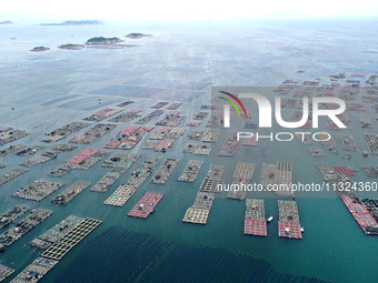 Workers are working in a breeding area at a marine ranch in Lianjiang County, Fuzhou, in Fuzhou, China, on June 11, 2024. (