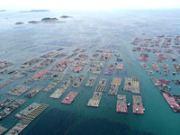 Workers are working in a breeding area at a marine ranch in Lianjiang County, Fuzhou, in Fuzhou, China, on June 11, 2024. (