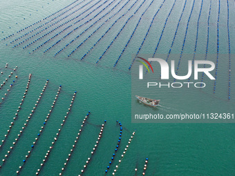 Workers are working in a breeding area at a marine ranch in Lianjiang County, Fuzhou, in Fuzhou, China, on June 11, 2024. (