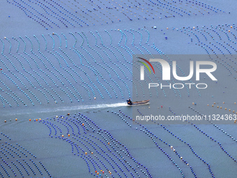 Workers are working in a breeding area at a marine ranch in Lianjiang County, Fuzhou, in Fuzhou, China, on June 11, 2024. (