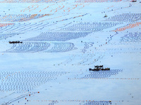 Workers are working in a breeding area at a marine ranch in Lianjiang County, Fuzhou, in Fuzhou, China, on June 11, 2024. (