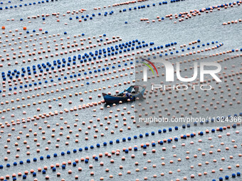 Workers are working in a breeding area at a marine ranch in Lianjiang County, Fuzhou, in Fuzhou, China, on June 11, 2024. (